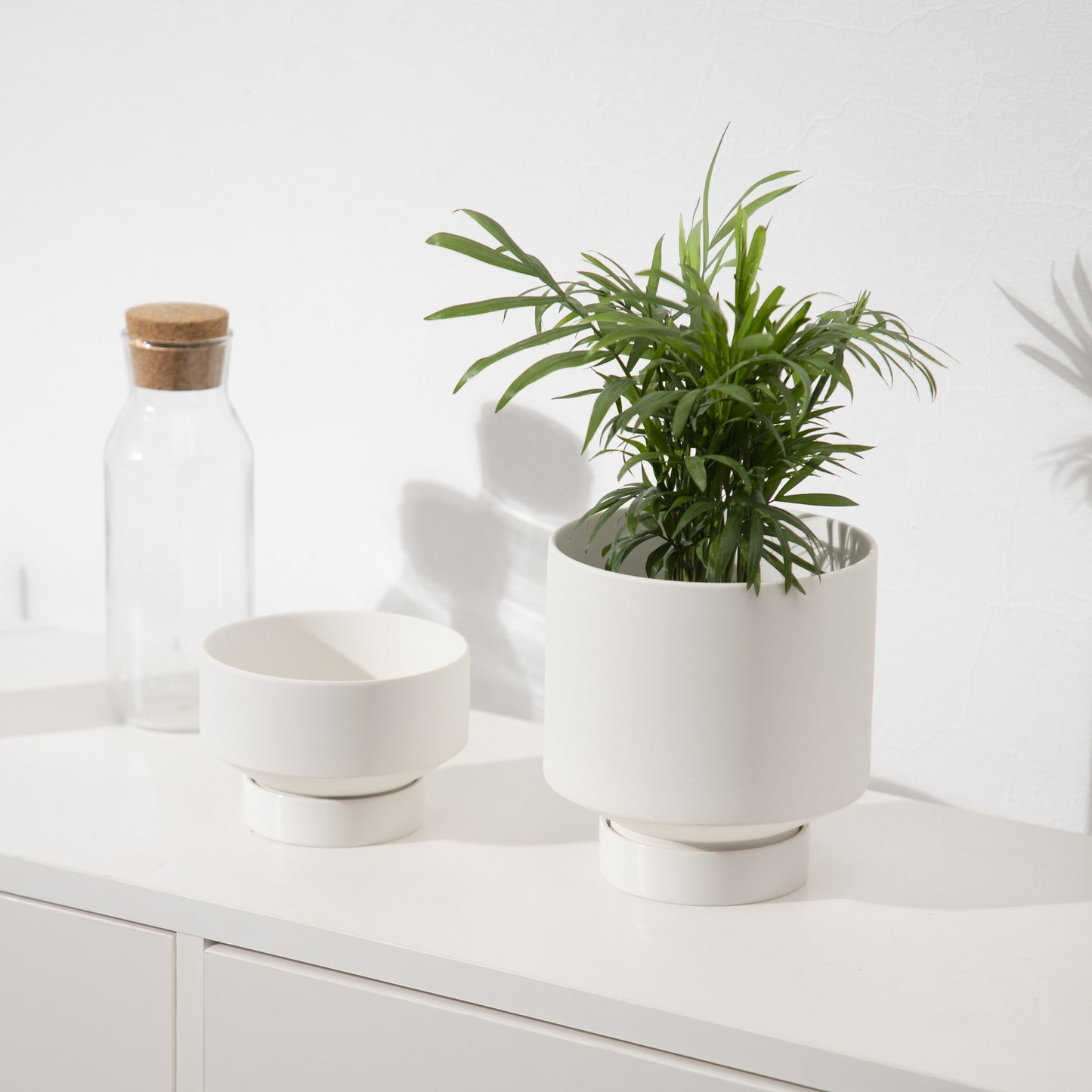 Indoor Succulent Pots - Mod Nest