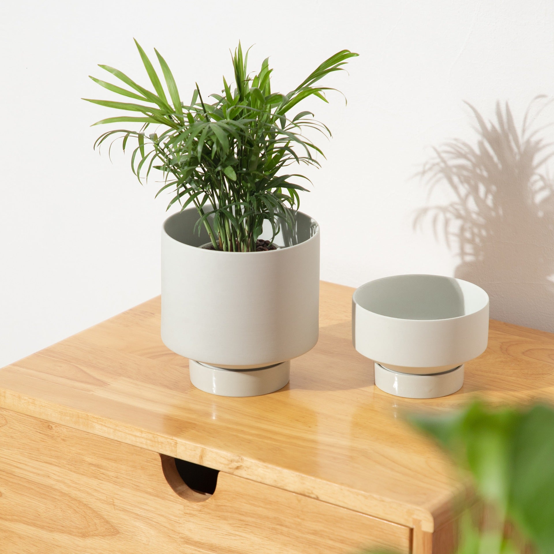 Indoor Succulent Pots - Mod Nest